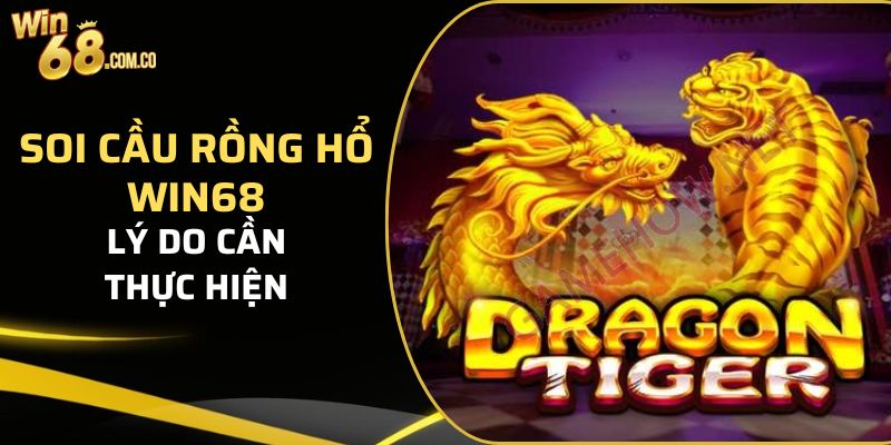 Lý do nên soi cầu Rồng Hổ Win68