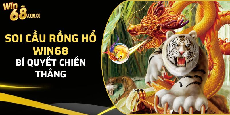 soi cầu Rồng Hổ Win68